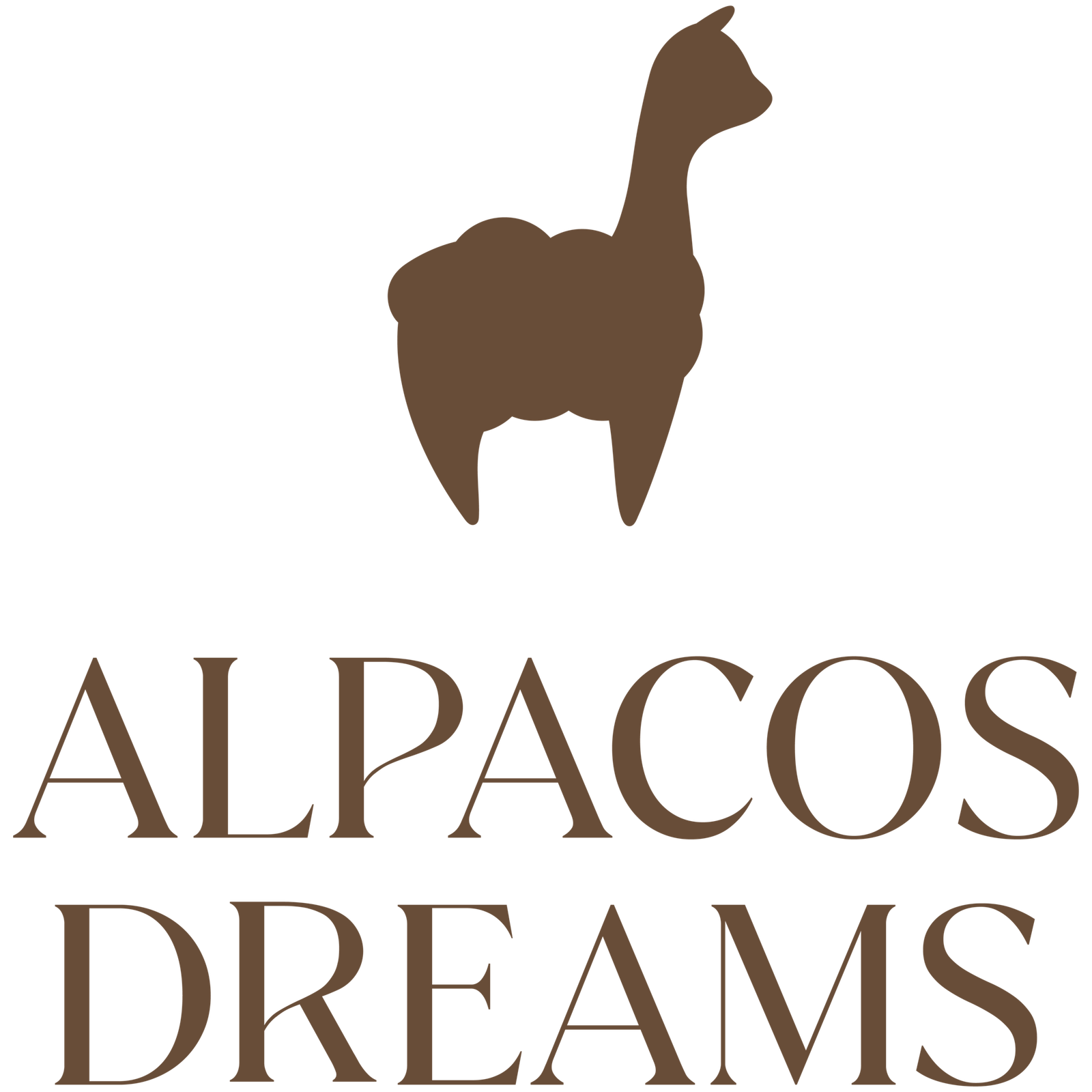 Alpacos Dreams